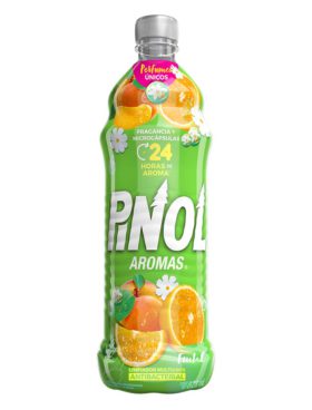 PINOL AROMAS FRUTAL 828 ML  6 UDS