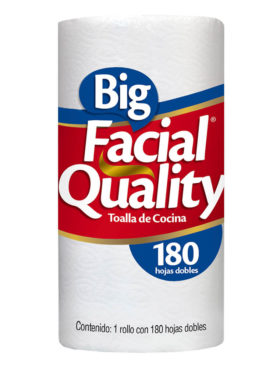 BIG QUALITY SERVITOALLA 180 H  8 UDS